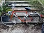 Stella bike