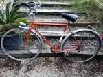 Stella bike