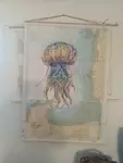 La méduse sur Chausey