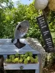 Thermor heater lamp
