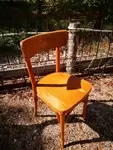 Thonet chair