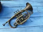 Antique trumpet from the 20th century 