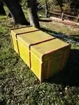 Trunk 50s 60s in wood and tole