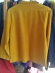 Twelve year yellow jacket