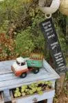 Vintage 1950s Triang truck