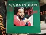 Vinyls 