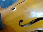 Companion Violin