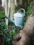 Zinc watering can