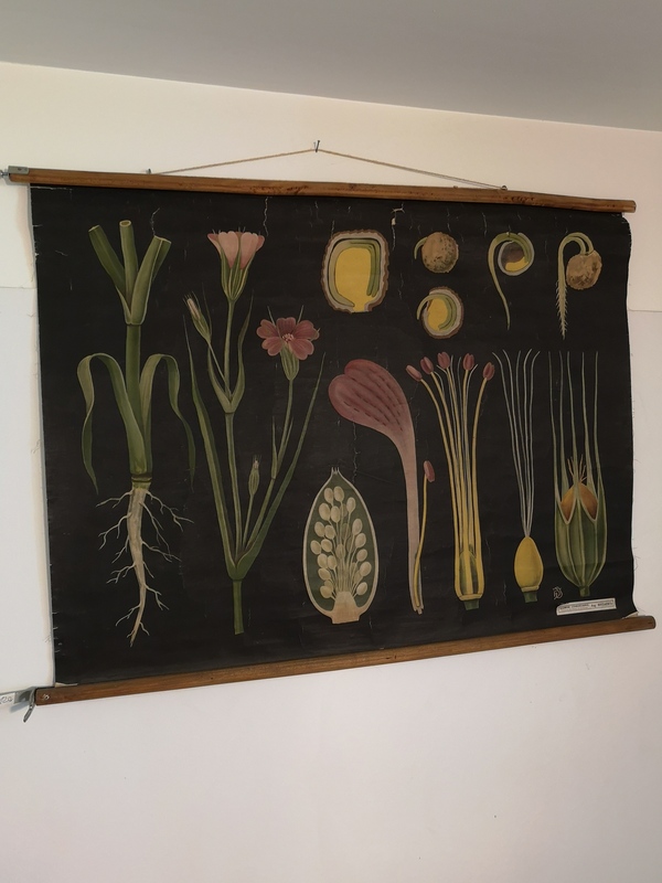 Old canvas poster 1930