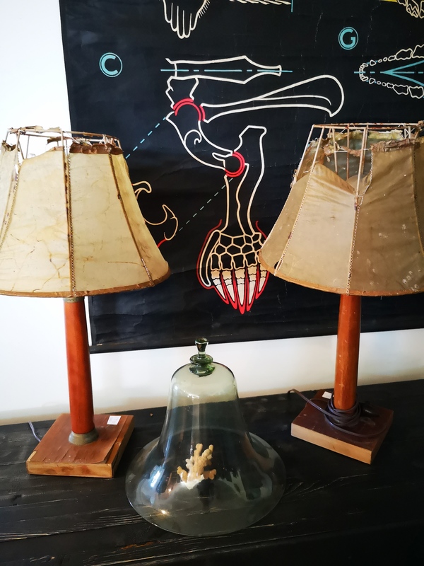 Pair of lamps