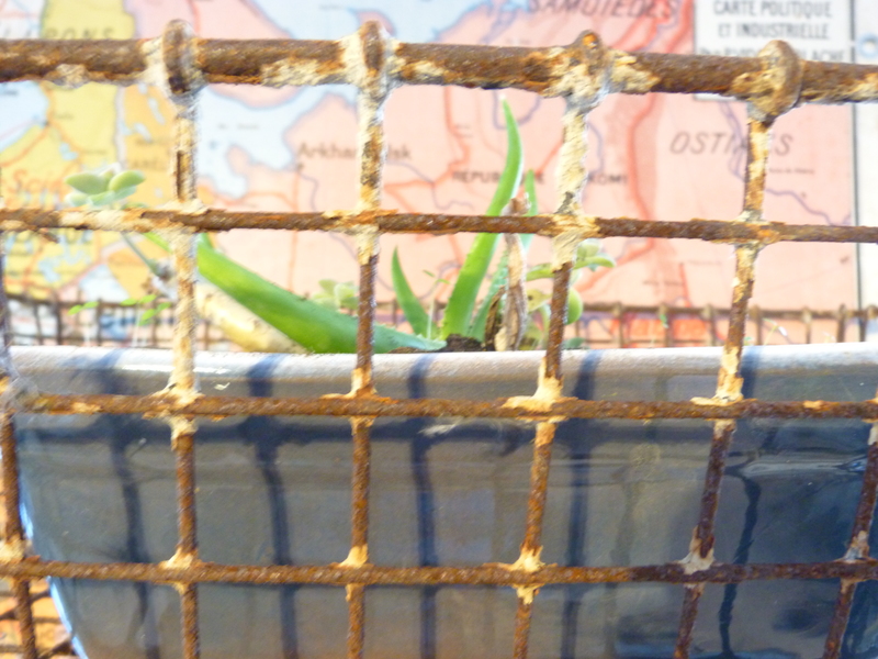 Lots of oyster baskets