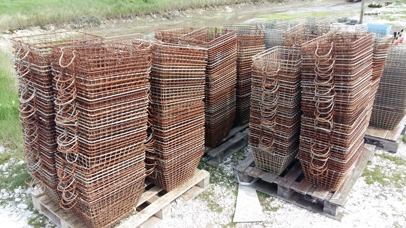 Lots of oyster baskets
