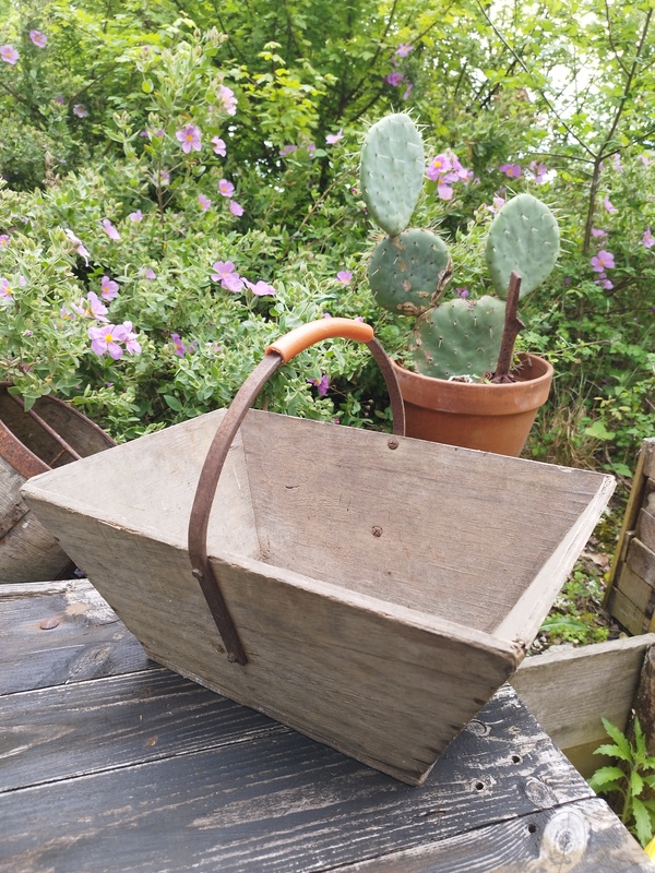 Wrought iron and wood harvest basket 