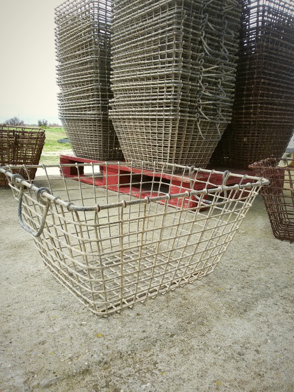 Galvanized Oyster Manes