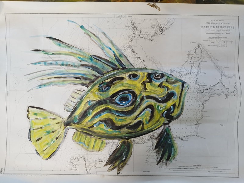 Nautical charts @Tommy_bim