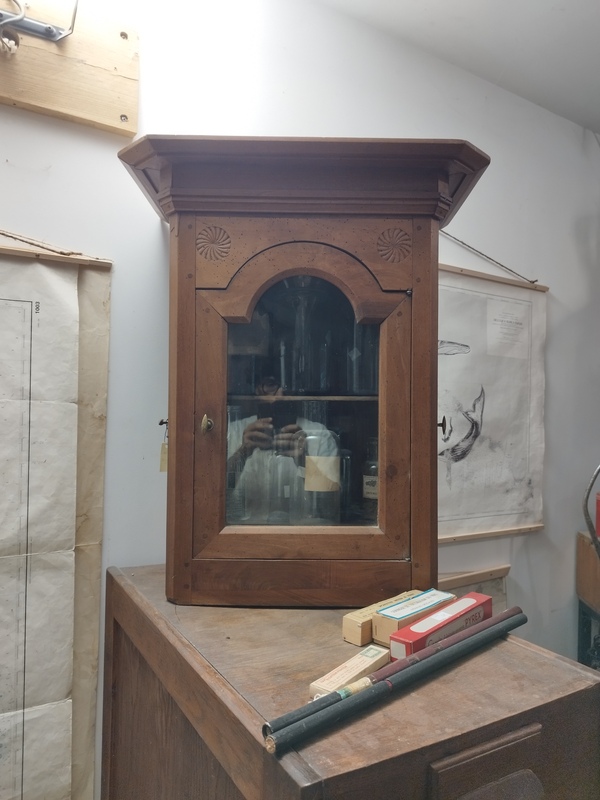 Small cabinet of curiosities