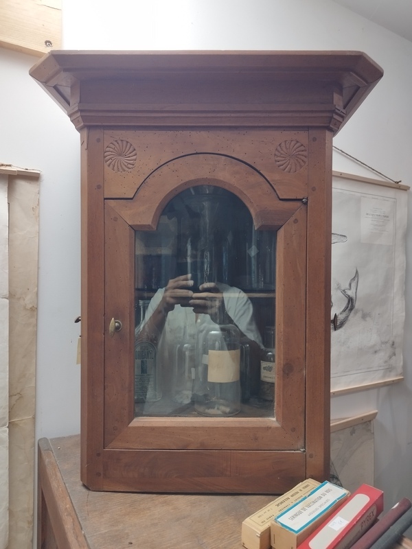 Small cabinet of curiosities