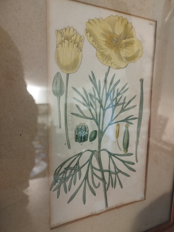 Small old golden frame