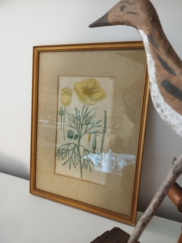 Small old golden frame