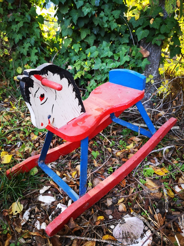 Little rocking horse