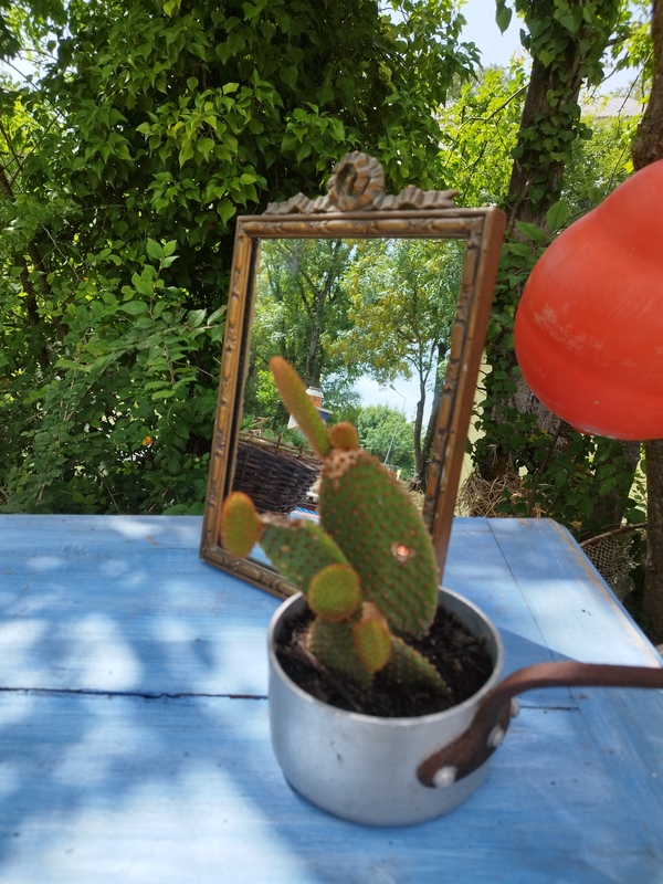 Small dressing table mirror 1900