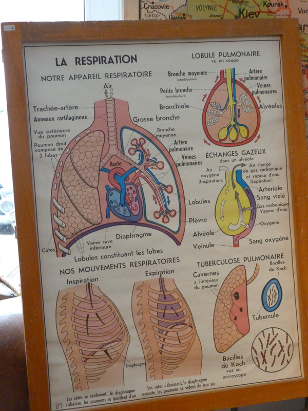 Science school poster