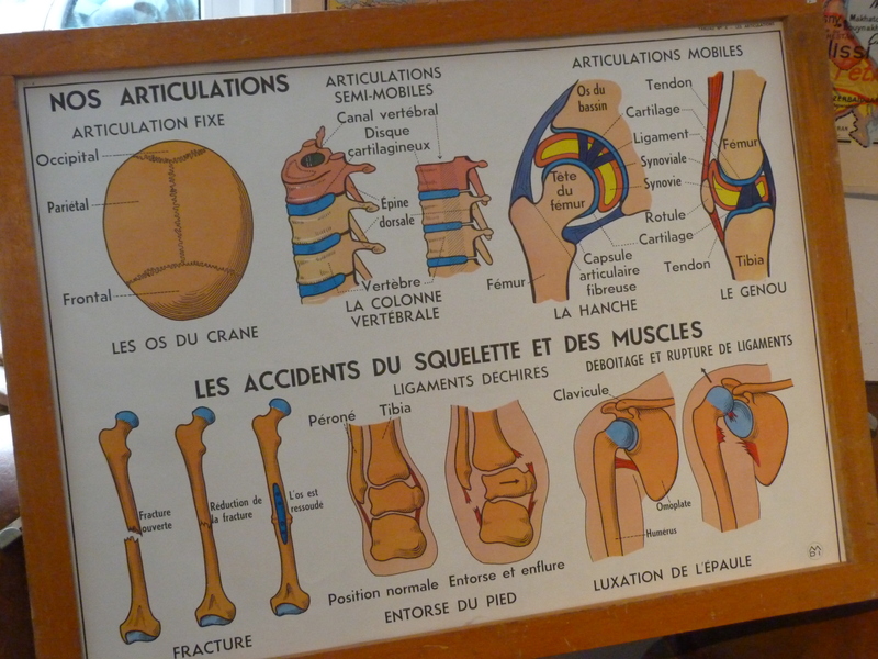 Science school poster