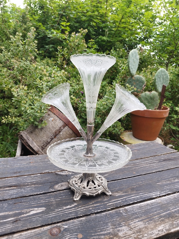 Old tulip tree from the early 20th century