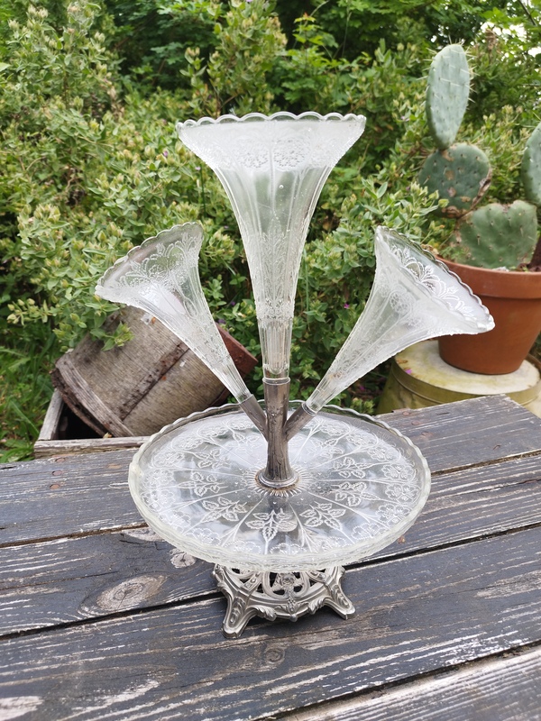 Old tulip tree from the early 20th century