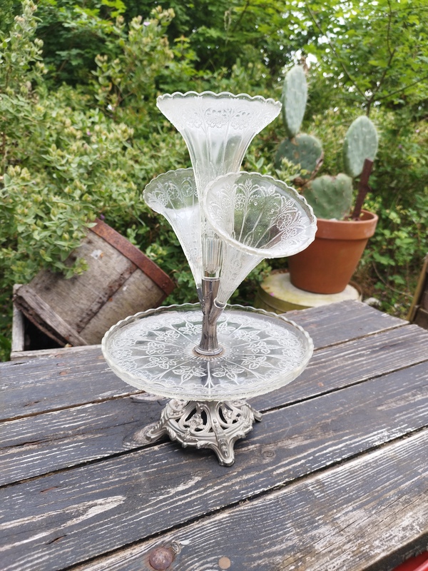 Old tulip tree from the early 20th century