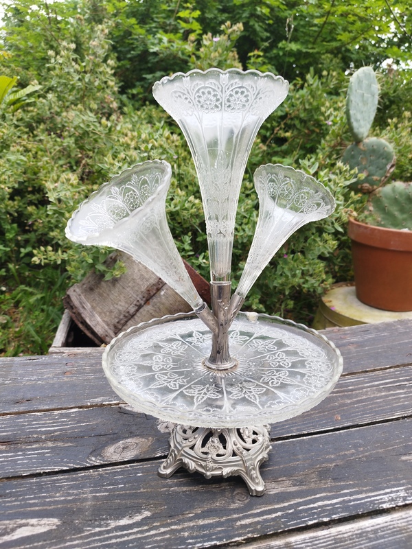 Old tulip tree from the early 20th century