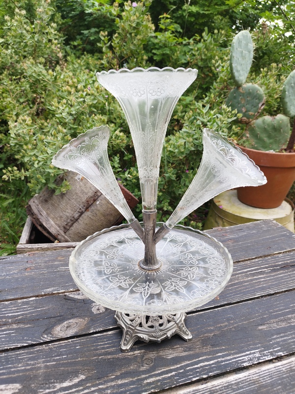 Old tulip tree from the early 20th century