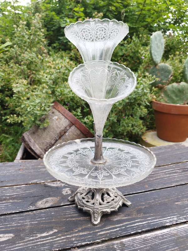 Old tulip tree from the early 20th century