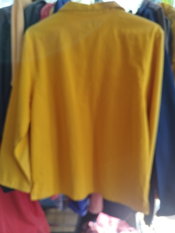 Twelve year yellow jacket