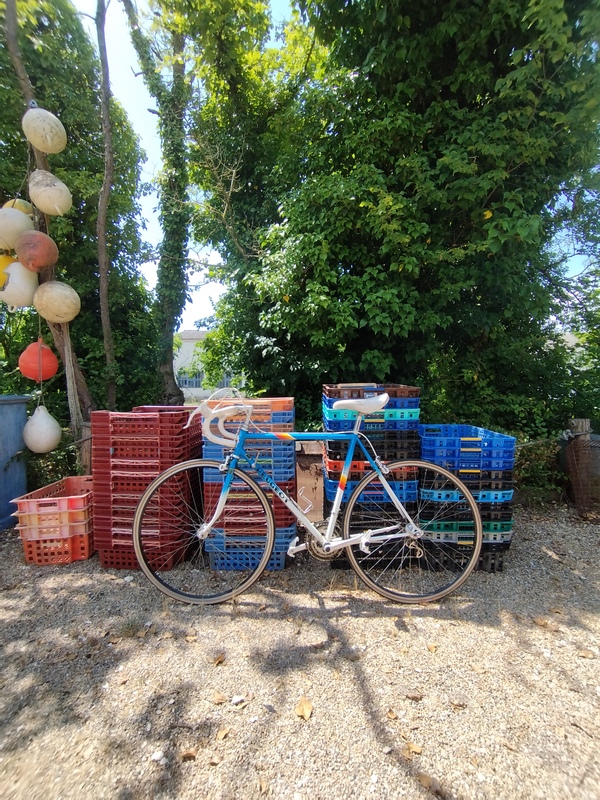 Peugeot Reynolds bike