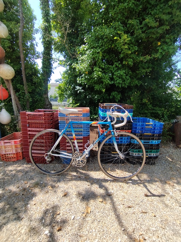 Peugeot Reynolds bike