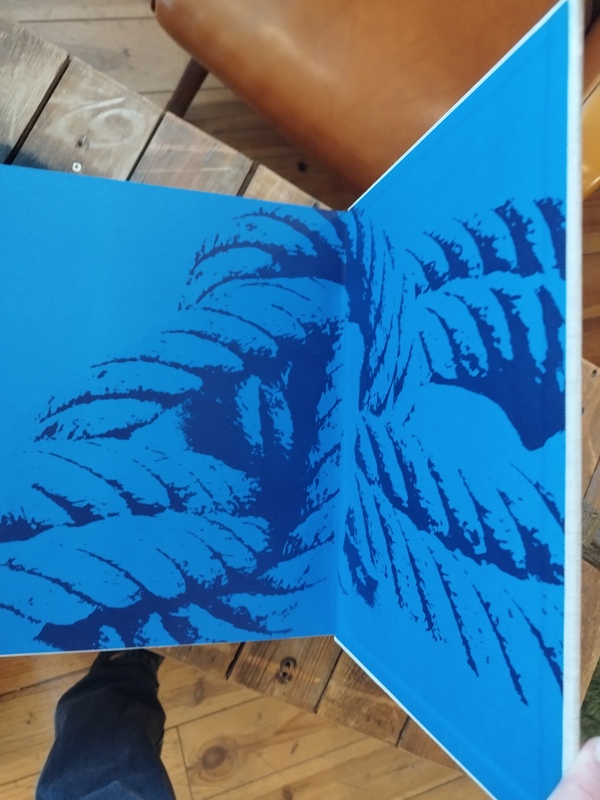 Grub and Richter sailboats adapted by Randier